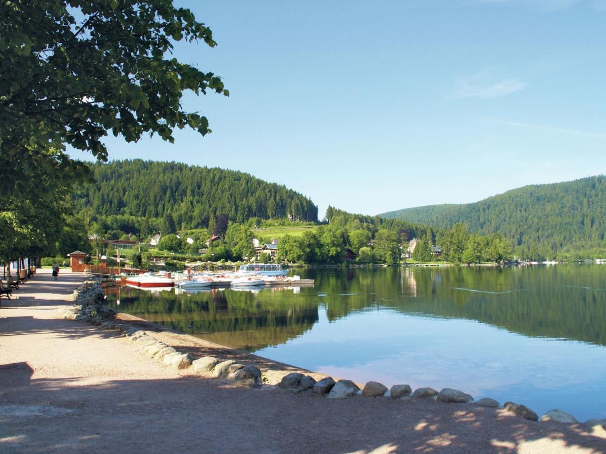 Charming Chalet In Ventron With Terrace Стая снимка