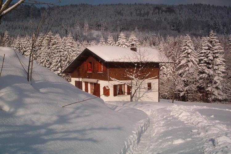 Charming Chalet In Ventron With Terrace Екстериор снимка